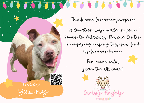 Meet Yawny - Christmas Card